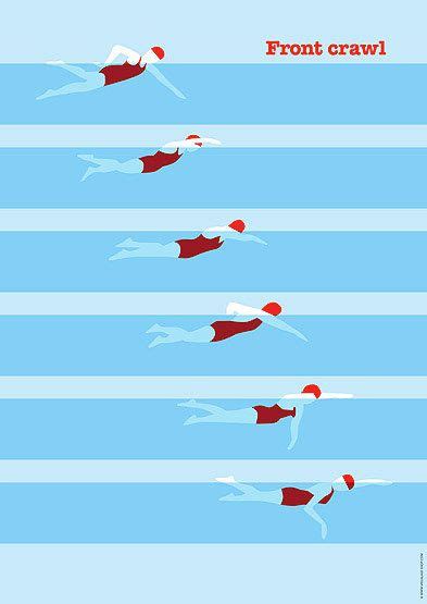 Front Crawl Swimming 的图像结果