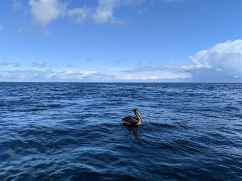 Splashdown Divers (Boynton Beach) - All You Need to Know BEFORE You Go