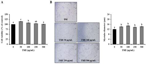 Mealworm Ethanol Extract Enhances Myogenic Differentiation and ...