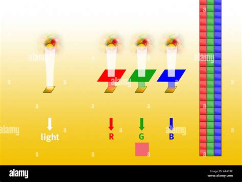 Image result for How Scanner Works
