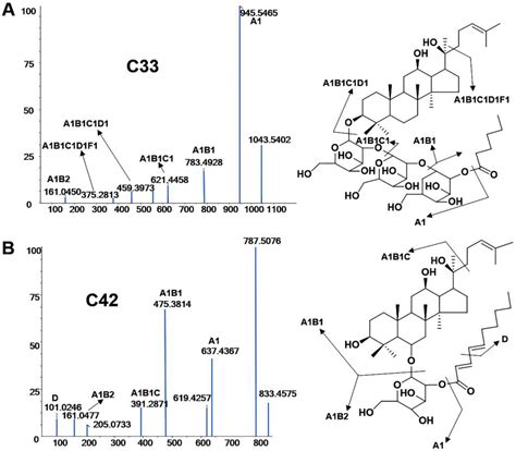 Discrepancy Study of the Chemical Constituents of Panax Ginseng from ...