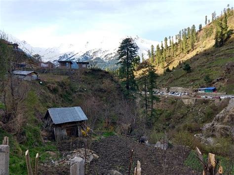 PINK FLOYD CAFE (Tosh) - Inn Reviews & Photos - Tripadvisor