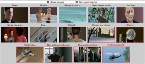 Image result for Spatial Behavior Examples in a Movie