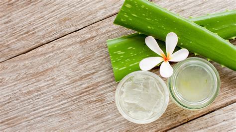 Aloe Vera for Dandruff: Benefits and How to Use It