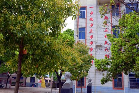 “学习强国”学习平台