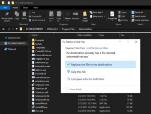 Image result for Selenium Basic
