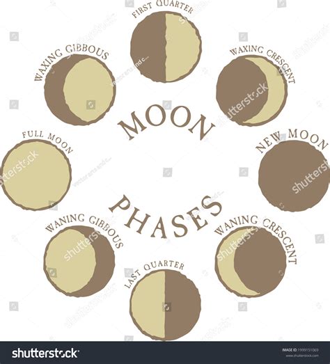 Eight Moon Phases Names Sign Stock Vector (Royalty Free) 1999151069 | Shutterstock
