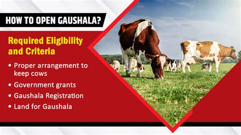 Goshala Registration Process - Gaushala Project Report