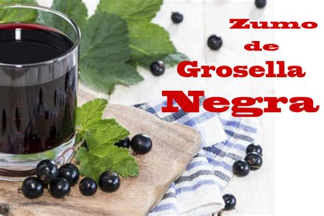 Propiedades del zumo de grosella negra. - | Campo de elche