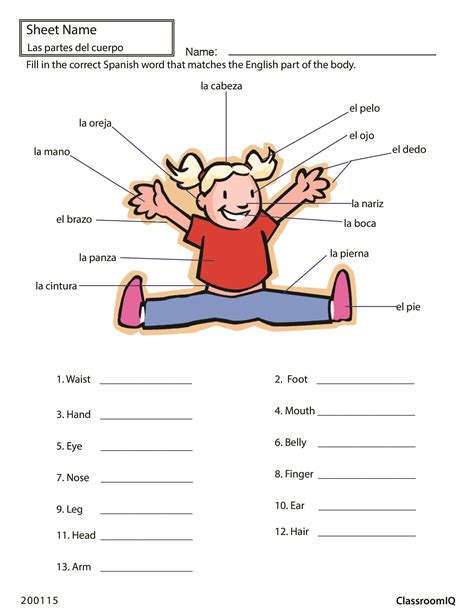 Body Parts Spanish