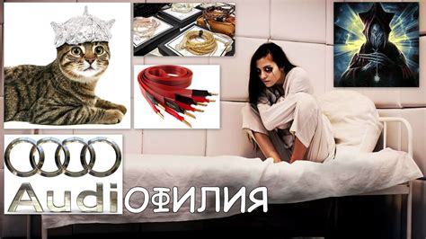 АУДИОФИЛИЯ. Философия БОЛЕЗНИ!? - YouTube