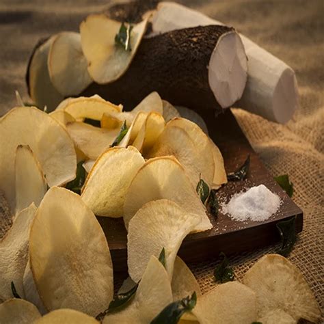 Tapioca Chips Classic Salt