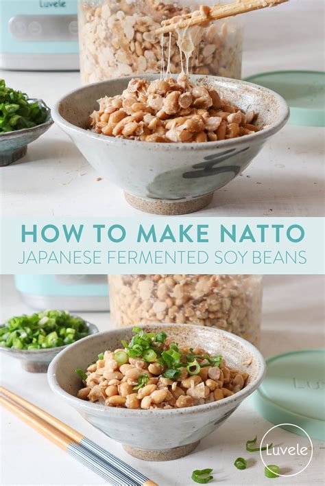 How to make Natto (fermented soybeans) in a yogurt maker - luvele EU