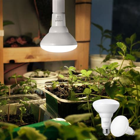 Indoor Growing Light Bulbs