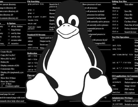 Image result for Linux Software Pic
