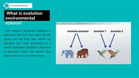 Evolution Environmental Science 的图像结果