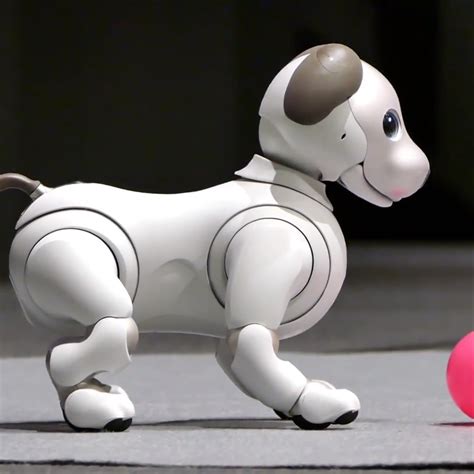 Video: Sony's robot dog is a real cutie