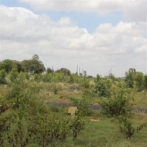 15 Acres Gated community Plots | Airport Road Bangalore | Bhartiya One