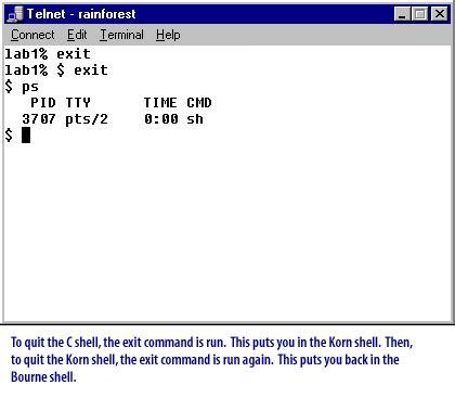 Unix Parent-Child Process 的图像结果