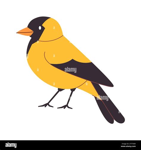American goldfinch winter Stock Vector Images - Alamy