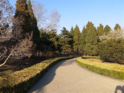 2020北京植物园-旅游攻略-门票-地址-问答-游记点评，北京旅游旅游景点推荐-去哪儿攻略