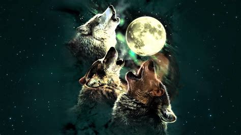 Wolf Howling at the Moon Wallpaper (66+ images)