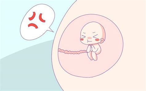 婴儿肾盂分离（孕24周B超医生说胎儿肾盂分离）-幼儿百科-魔术铺