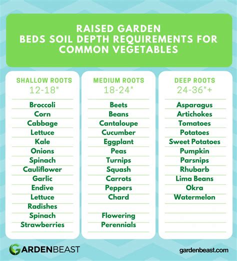 Raised Garden Beds: The Ultimate Guide for Beginner's