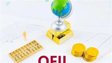 QFII(合格的境外机构投资者)_搜狗百科