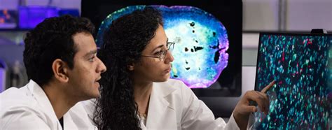 Behnan Laboratory for Brain Tumor Immunology Research
