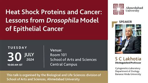 Heat Shock Proteins and Cancer: Lessons from Drosophila Model of ...