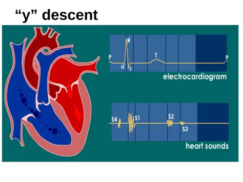 Jugular Venous Pressure (JVP) Jugular Venous Pulse | PPT