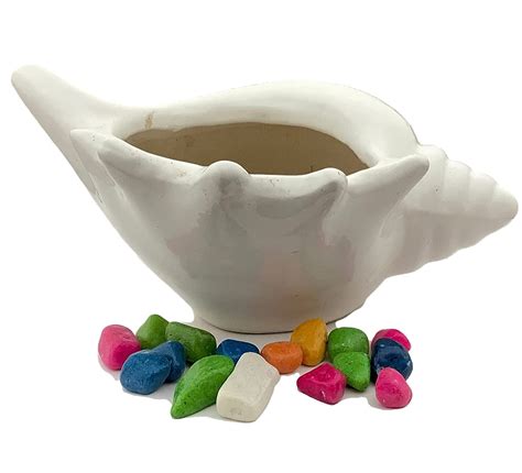 Planter Shell Shape Plant |Small Size | Indoor Outdoor Plant Pot | Home ...