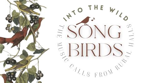 Into the Wild - Songbirds - Tinonee Memorial School of Arts Hall ...
