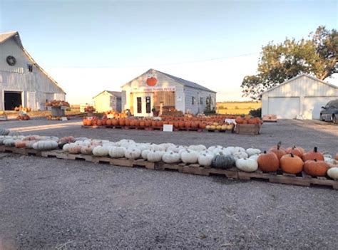 Bee Bums Korner Pumpkin Patch - Opening Weekend!, 6696 East US Hwy 136 ...