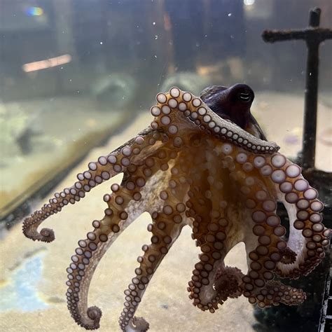 Biomes Marine Biology Center in North Kingstown, RI (With Photos)