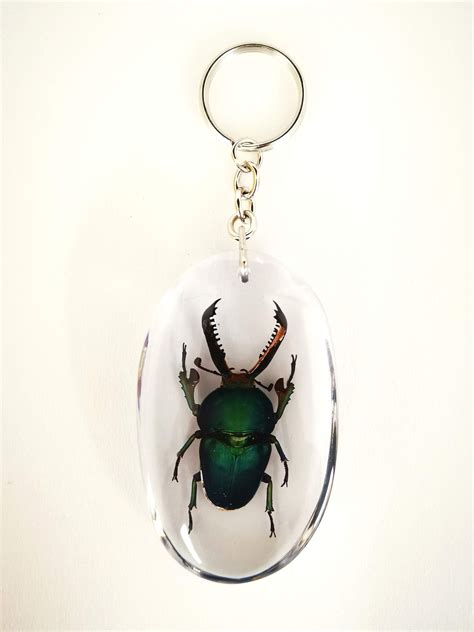 Bug Keychains 的图像结果