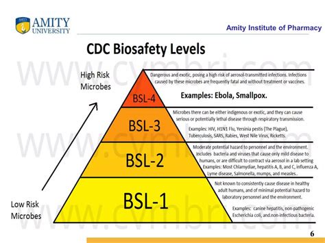 Image result for Biosafety level Types