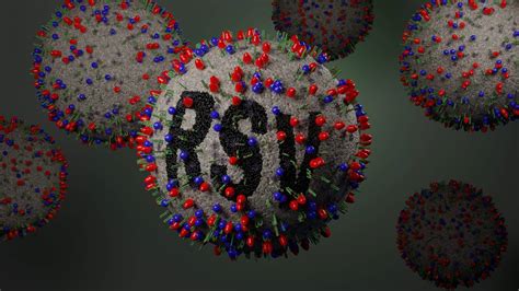 RSV in Adults: Symptoms, Duration, & Recovery Tips | Health Insights