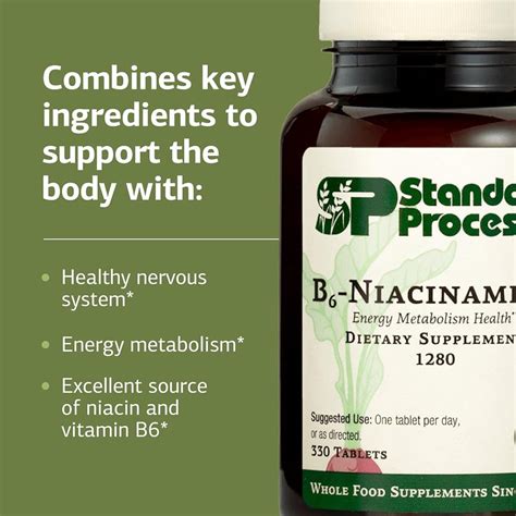 StandardProcessInc. Standard Process B6-Niacinamide Energy Metabolism ...