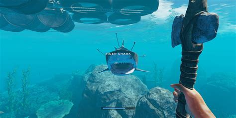 Image result for All Animals in Stranded Deep