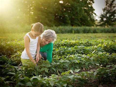 Five things the 'New Generation' study by Turner International has ...