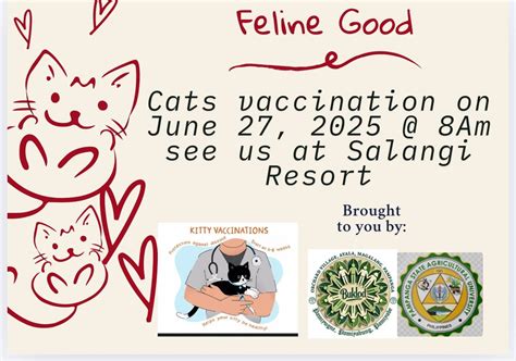 Feline Good - Cat Vaccination Day!, Salangi Tamu Resort and Events ...