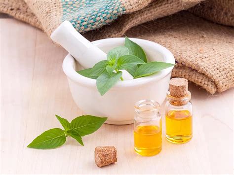 Image result for Essential Mods for Minecraft