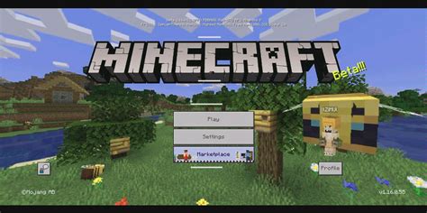 WebSocket Minecraft 的图像结果