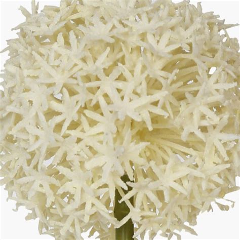 Buy Botanical Allium Artificial Flower from Home Centre at just INR 449.0