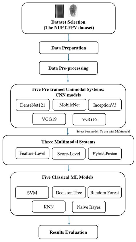 Deep Learning-Based Fingerprint–Vein Biometric Fusion: A Systematic ...