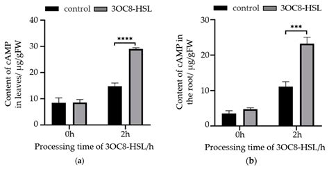 The Effect of Bacterial AHL on the Cyclic Adenosine Monophosphate ...