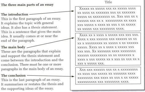 Essay-Writing Basics 的图像结果