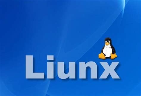 免费国产linux服务器系统（有什么优势） - 洋葱SEO